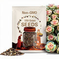 Echeveria Snow Crystal Seeds: Rare Hybrid Succulent (10 Seeds)