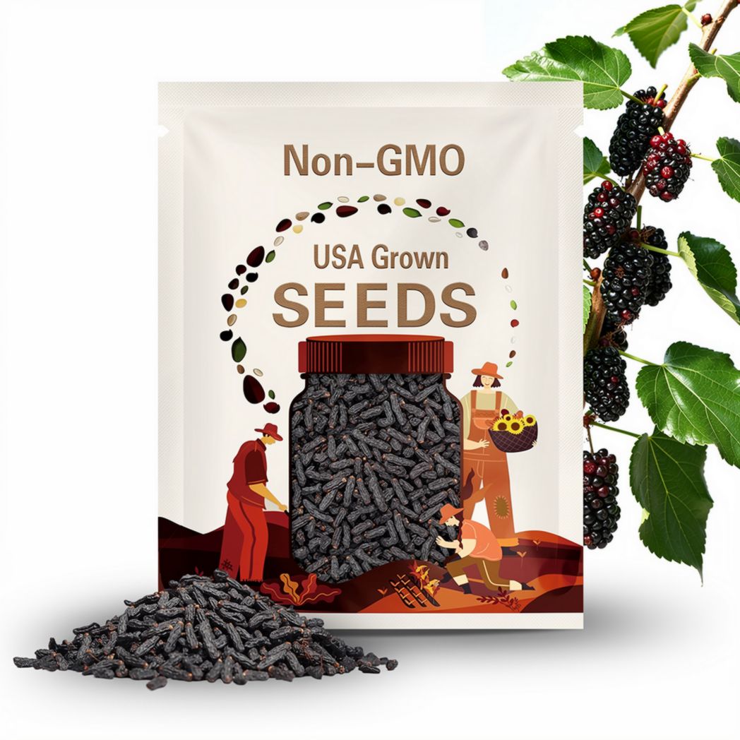 Mulberry, Black - 50 Seeds - Heirloom Fruit Tree - Sweet and Juicy Dark Berries - Rich in Antioxidants (Morus nigra)