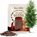 Dawn Redwood seeds (Metasequoia glyptostroboides) 30 Seeds per pacquet