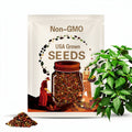 Peter Pepper Heirloom Non GMO 15 Seeds