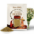 German Chamomile Seeds 2500+ Herb Medicinal Fragrant Groundcover ANNUAL USA
