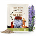 Dusty Miller Flower Seeds - Heirloom Seeds, Silverdust, Cineraria Maritima, Ornamental Groundcover, Open Pollinated, Non-GMO
