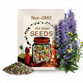 Rare Mixed Succulent Seeds: 200pcs Colorful Varieties