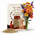 100 Queen Lime Orange Zinnia Seeds | Zinnia elegans | Unique Peach-Orange Blooms for Vibrant Summer Gardens