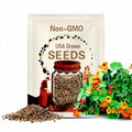 Nasturtium Jewel Mix Seeds – Heirloom, Colorful Edible Flowers for Salads, Peppery Leaves, Easy to Grow | 25 Seeds