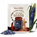 Blue Cónico Dent Corn Seeds: Organic Mexican Heirloom, Non-GMO