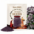 Purple Shiso Seeds 100+ Perilla Herb Asian Mint Cuisine Annual USA
