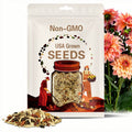 40 Seeds | Giant Dinnerplate Dahlia Belle Seeds - Pollinator Friendly- Open Pollinated -Heirloom - Flower Seeds - Mix Seeds to Plant -#D036.