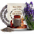 Lavender english common seeds