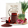 Red Ruby Onion Seeds: Heirloom Sweet Garden Variety (100+ Seeds)