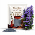 Blue Mist Flower Seeds: Hardy Ageratum, Monarch Butterfly Pollinator Plant, Conoclinium coelestinum